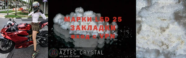 ПСИЛОЦИБИНОВЫЕ ГРИБЫ Ладушкин