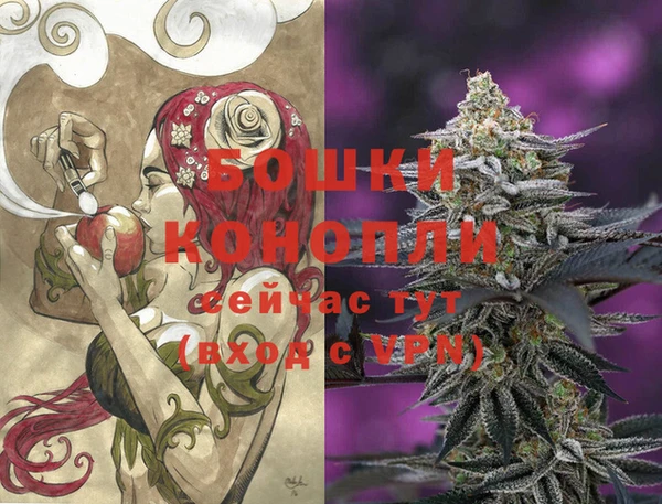 ПСИЛОЦИБИНОВЫЕ ГРИБЫ Лабытнанги
