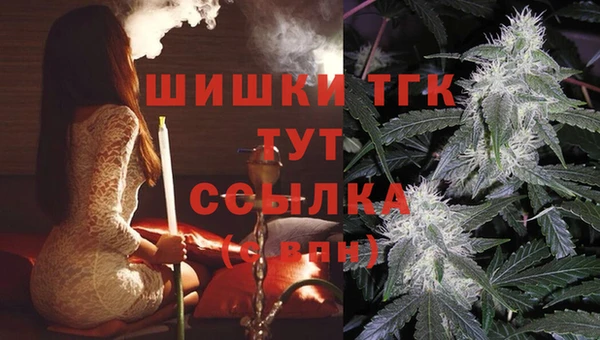 ПСИЛОЦИБИНОВЫЕ ГРИБЫ Ладушкин