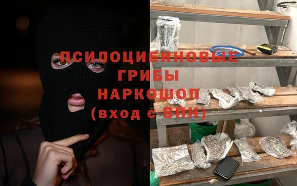 ПСИЛОЦИБИНОВЫЕ ГРИБЫ Лабытнанги