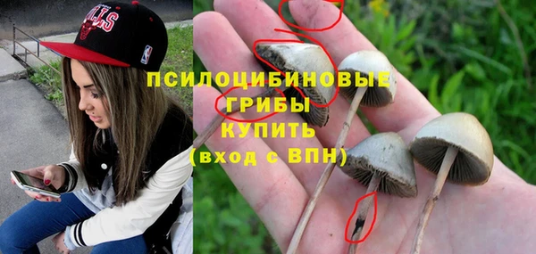 ПСИЛОЦИБИНОВЫЕ ГРИБЫ Лабытнанги