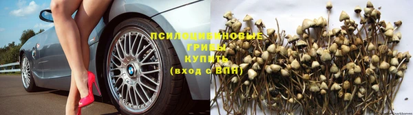 ПСИЛОЦИБИНОВЫЕ ГРИБЫ Ладушкин