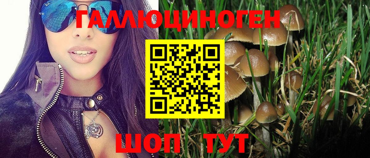 Псилоцибиновые грибы мицелий Юрга