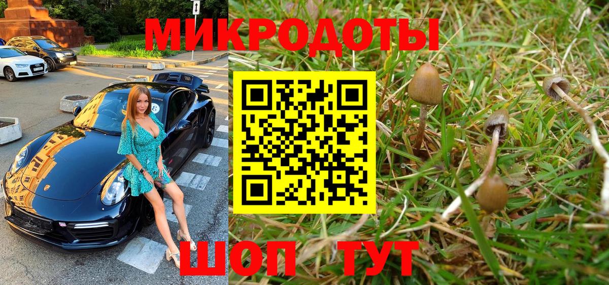 Юрга  Галлюциногенные грибы прущие грибы  Вход с VPN 