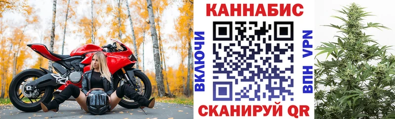 наркошоп  Юрга  Шишки марихуана семена 
